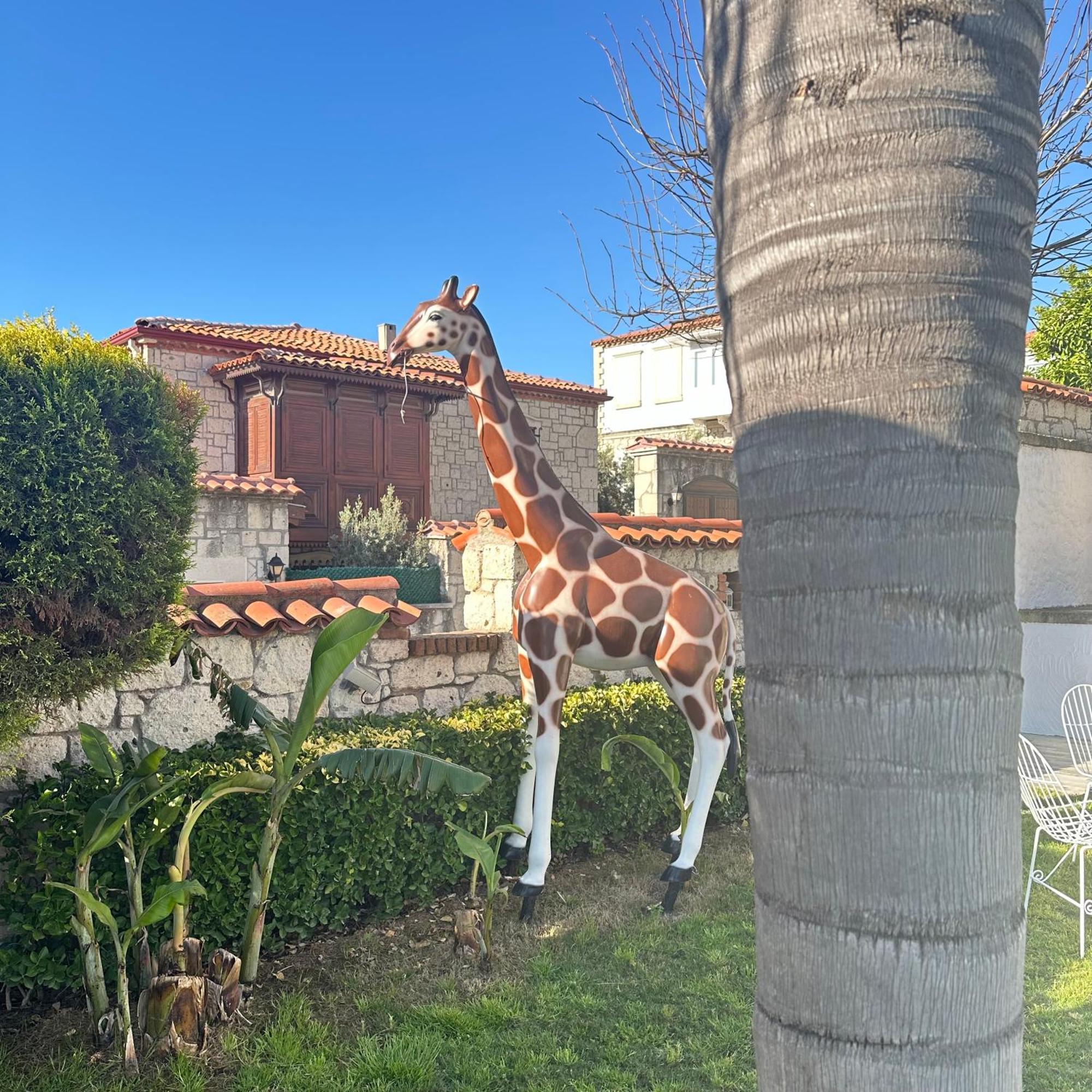 Imren Han Hotel - Special Category Alaçatı Dış mekan fotoğraf